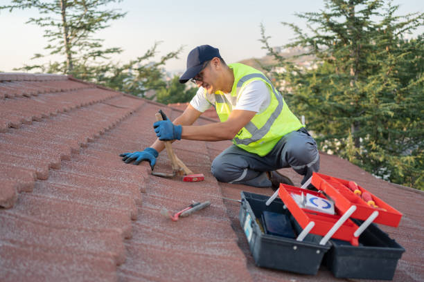 Gutter Installation and Roofing in Lake Riverside, CA